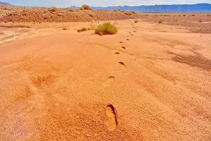 Deserts Prints: Human footprints in soft sand near the Upper Soap Creek Bench in the Vermilion Cliffs