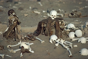 Human remains in a cemetery in the Nazca desert