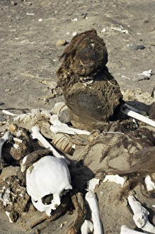 Nazca Prints: Human remains preserved over 500 years