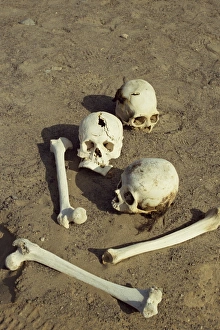 Nazca Prints: Human remains preserved over 500 years at the Chauchilla