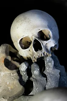 Still Life Prints: Human skull on display, interior of Sedlec Ossuary