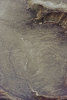 Hummingbird, Lines and Geoglyphs of Nasca, UNESCO World Heritage Site, Peru