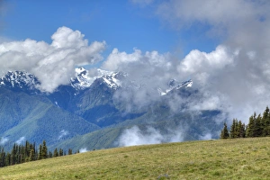 Washington Prints: Hurricane Ridge, Olympic National Park, UNESCO World Heritage Site, Washington, United