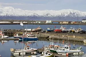 Images Dated 30th May 2007: Husavik, Iceland
