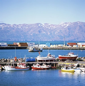 Husavik, northern area