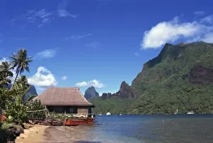 Images Dated 24th January 2008: Hut on beach in Cooks Bay, Moorea, Polynesia, Pacific Islands, Pacific