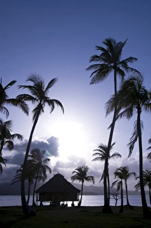 Yandup Island Prints: Hut over the water and palm trees silhouetted at sunset, Yandup Island