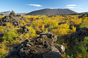 Crater Prints: Hverfell Crater rising out of the Dimmuborgir Lava Field, Myvatn Region, Iceland