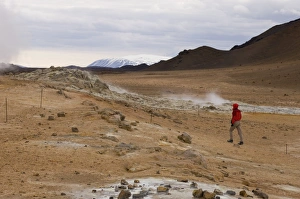 Images Dated 14th November 2007: Hverir geothermal fields at the foot of Namafjall mountain, Myvatn lake area