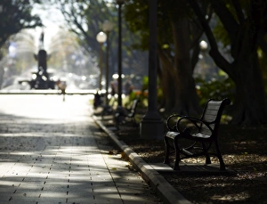 Seat Prints: Hyde Park, Sydney, New South Wales, Australia, Pacific