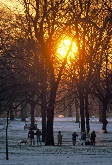 Bare Prints: Hyde Park in winter, London, England, United Kingdom, Europe