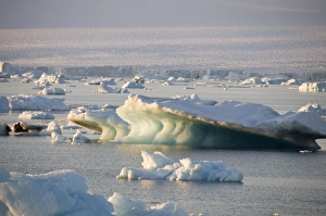 Images Dated 20th February 2009: Ice in the Antarctic Sound, Antarctic Peninsula, Antarctica, Polar Regions