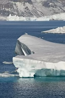 Images Dated 20th February 2009: Ice in the Antarctic Sound, Antarctic Peninsula, Antarctica, Polar Regions