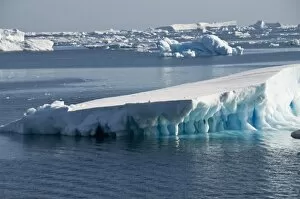Images Dated 20th February 2009: Ice in the Antarctic Sound, Antarctic Peninsula, Antarctica, Polar Regions
