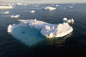 Images Dated 20th February 2009: Ice in the Antarctic Sound, The Antarctic Peninsula, Antarctica, Polar Regions