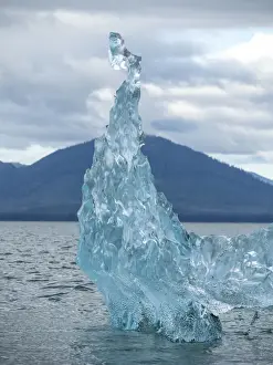 Detail of ice calved from the Leconte Glacier but stranded on a terminal moraine