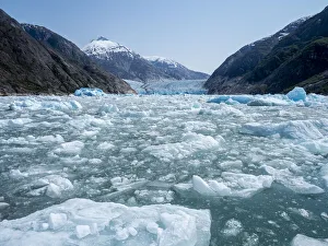 Tracy Arm Prints: Ice calved off the South Sawyer Glacier, Tracy Arm, Southeast Alaska
