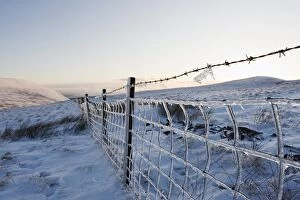 Images Dated 2nd January 2010: Ice covered fence on Pen y Fan mountain, Brecon Beacons National Park, Powys, Wales, United Kingdom