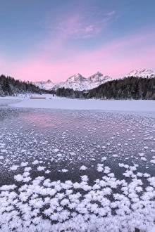 Engadine Prints: Ice crystals, Lej da Staz, St. Moritz