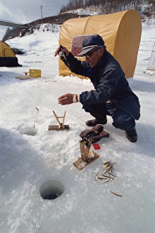 One Senior Man Only Prints: Ice fishing, Minami Furano Lake, Hokkaido, Japan, Asia