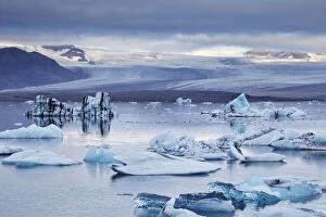 Lagoon Gallery: Ice floes in the lagoon at Jokulsarlon, looking towards the Vatnajokull icecap
