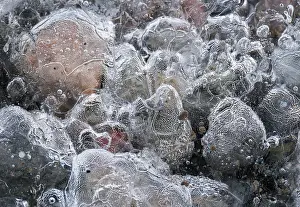 Glacial Prints: Ice Patterns and Air Bubbles within Ice Blocks at Fjallsarlon Iceberg Lagoon