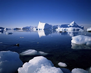 South Pole Prints: Ice scenery and seal, Antarctica, Polar Regions