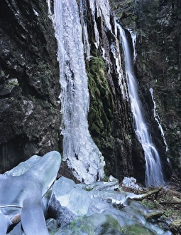 Images Dated 12th February 2009: Ice sculptures, Burgbach Waterfall, Bad Rippldsau-Schappach, Black Forest, Baden Wurttemberg