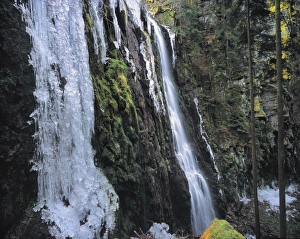 Images Dated 12th February 2009: Ice sculptures, Burgbach Waterfall, Bad Rippldsau-Schappach, Black Forest, Baden Wurttemberg