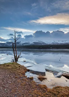 Loch Morlich Prints: Ice sheets in severe winter weather on Loch Morlich, at daybreak