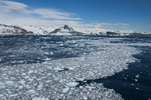 Images Dated 6th December 2008: Ice on water, Cierva Cove, Antarctica, Polar Regions