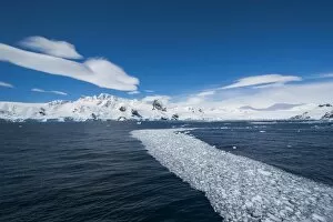 Ice on water, Cierva Cove, Antarctica, Polar Regions