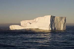 Iceberg on Bransfield Strait, Antarctic Peninsula, Antarctica, Polar Regions