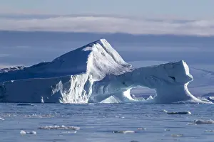 Iceberg calved from glacier from the Greenland Icecap in De Dodes Fjord