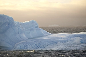 Images Dated 19th January 2000: Iceberg at dawn