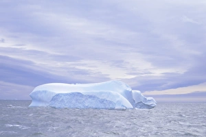South Pole Prints: Iceberg drifting off Antarctica, Polar Regions