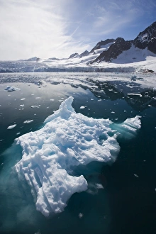 Ice Berg Prints: Iceberg in Fugle Fjord