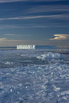 Pack Ice Prints: Iceberg and pack ice, Weddell Sea, Antarctic Peninsula, Antarctica, Polar Regions