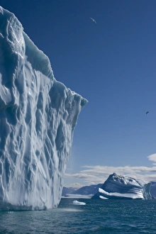 Images Dated 26th July 2007: Iceberg, Ummannaq, Greenland, Polar Regions