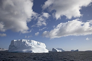 Ice Berg Prints: Icebergs and clouds at Laurie Island