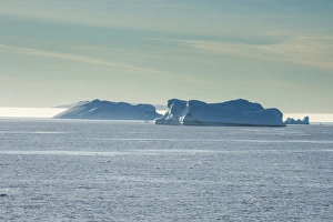 Floating On Water Prints: Icebergs floating in Hope Bay, Antarctica, Polar Regions