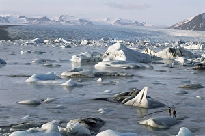 Jokulsarlon Prints: Icebergs frozen into lake ice in winter