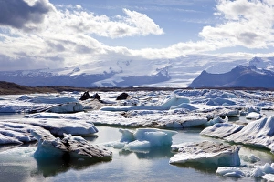 Glacial Prints: Icebergs in glacial lagoon at Jokulsarlon, Iceland, Polar Regions