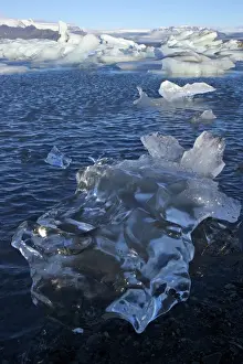 Jokulsarlon Prints: Icebergs on glacial lake at Jokulsarlon with snow on the massive icecap of Vatnajokull behind