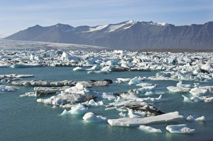 Jokulsarlon Prints: Icebergs in the glacial melt water lagoon at Jokulsarlon