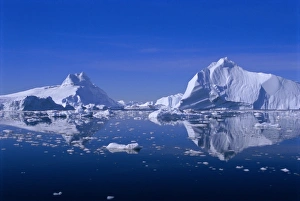 Ilulissat Prints: Icebergs from the icefjord