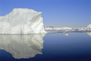 Icebergs from the icefjord