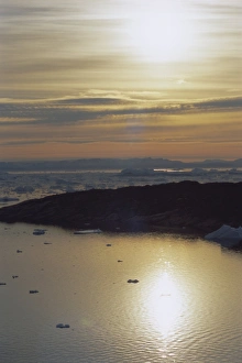 Icebergs from the icefjord