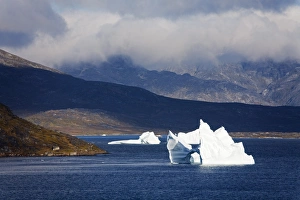 Qoornoq Prints: Icebergs, Island of Qoornoq, Province of Kitaa, Southern Greenland, Kingdom of Denmark