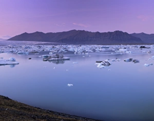 Ice Berg Prints: Icebergs in Jokulsarlon glacial lagoon, at sunset, Breidamerkurjokull